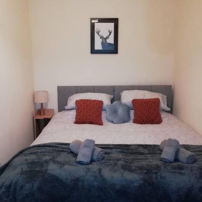 Carvetii - Norman House - 2Nd Floor, 1 Bedroom Flat Bo'ness Esterno foto